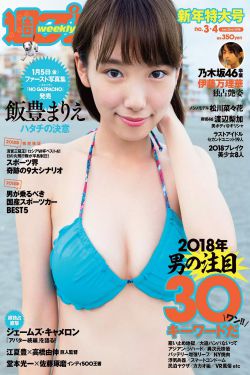 抓灰28章全部免费阅读